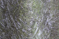 Dunham On Trent fibreglass roof work